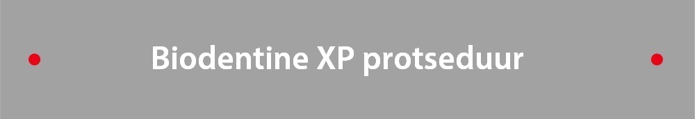 Biodentine XP protseduur